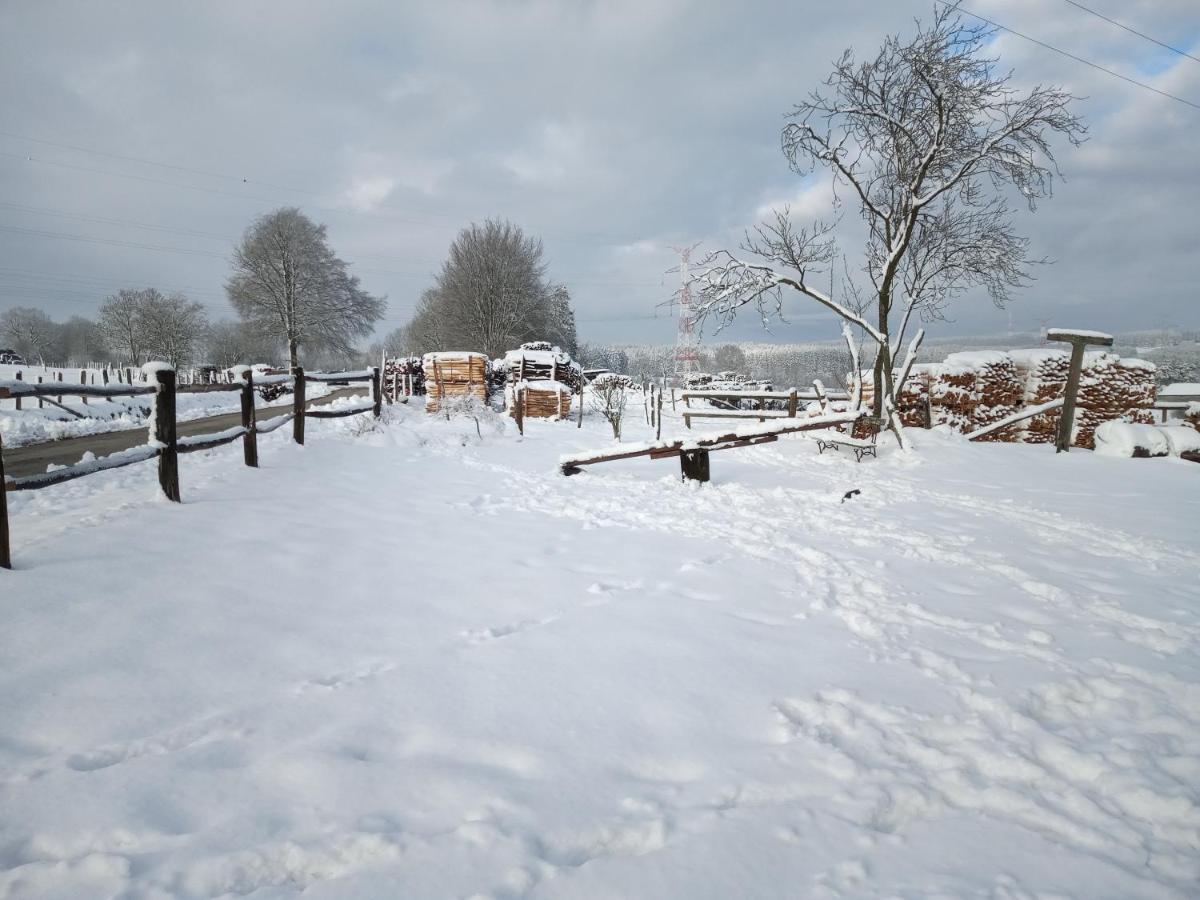 Gite Le Cheval Ardennais Gouvy Exterior foto