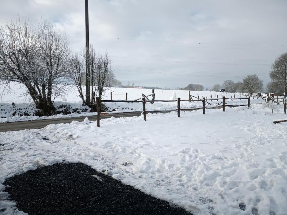 Gite Le Cheval Ardennais Gouvy Exterior foto